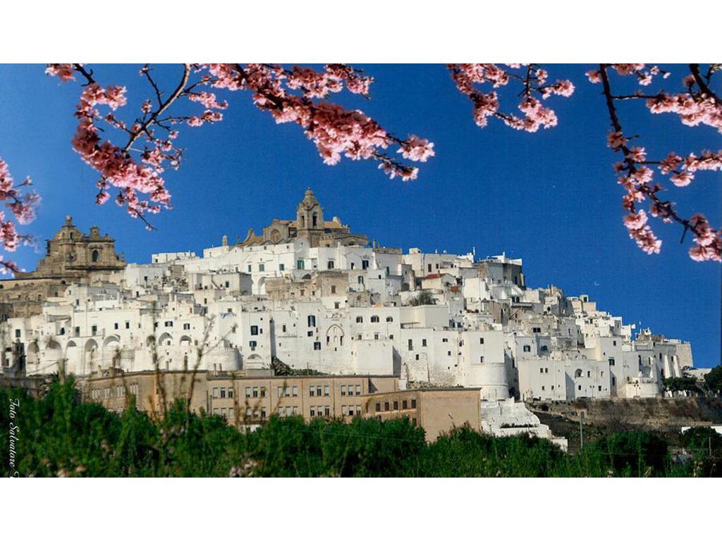 Casa Farella B&B In Suites Apartments Altamura X Matera Exteriör bild